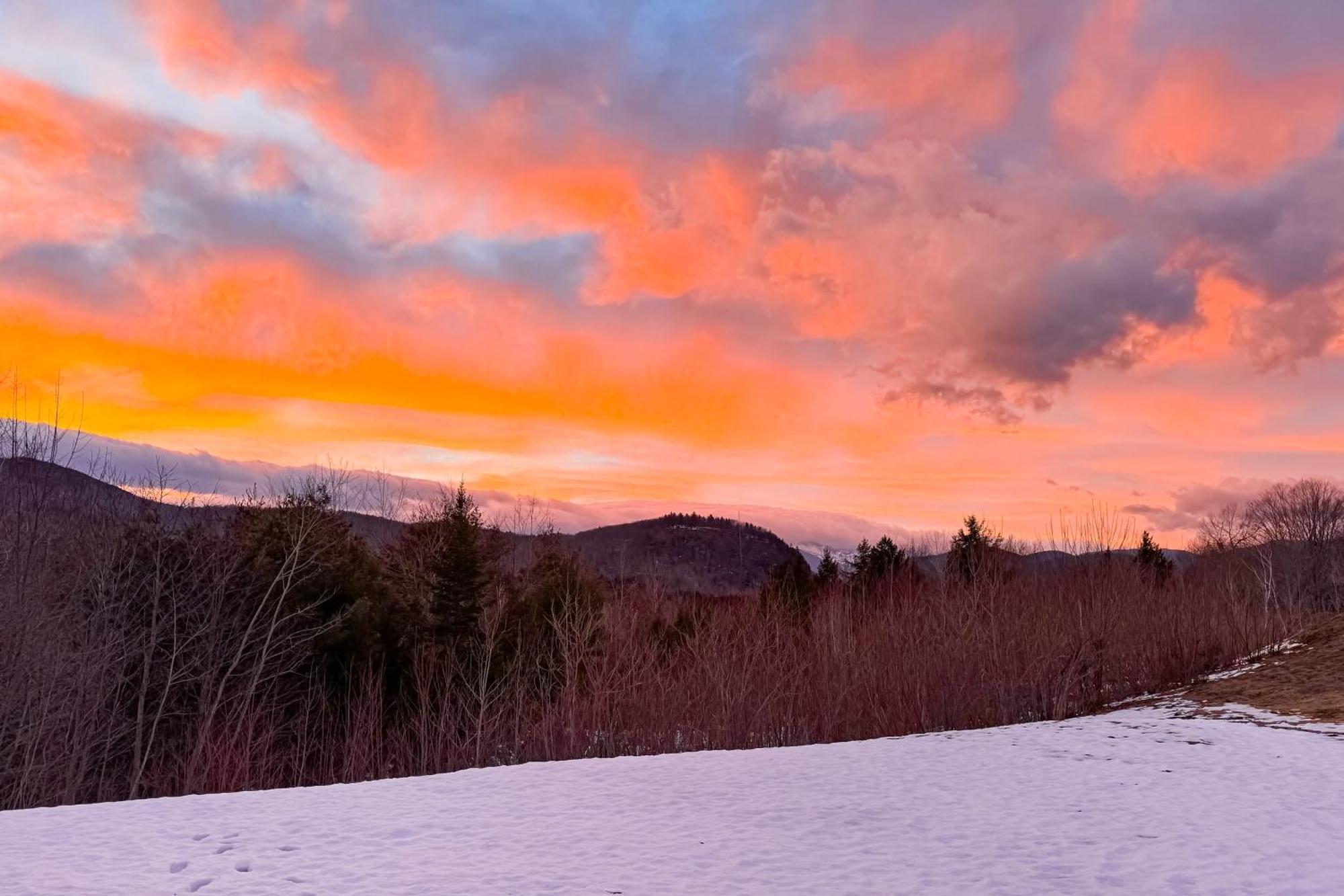 Best Views Of Mt Washington 巴特利特 外观 照片